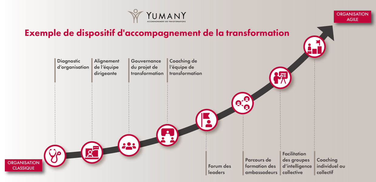 https://yumany.fr/wp-content/uploads/2020/06/Infographie-Transformation-Yumany.jpg