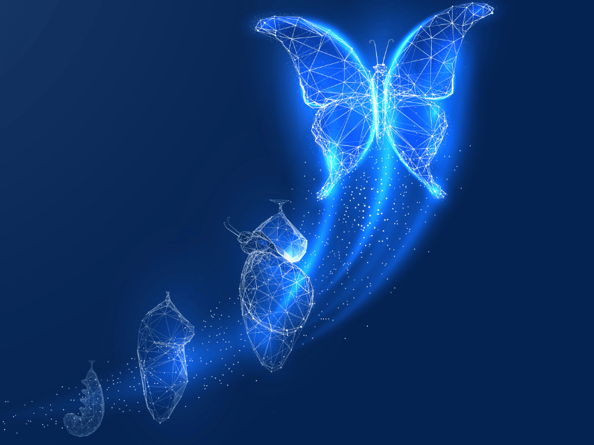Transformation des organisations Transformation des organisations